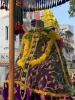 திருக்கோவலூர் - ஶ்ரீபுஷ்பவல்லித்தாயார் திருஅத்யயன உத்ஸவம்